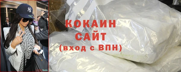 гидра Алексин