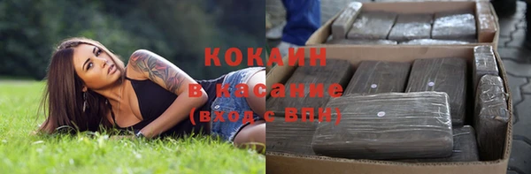 гидра Алексин