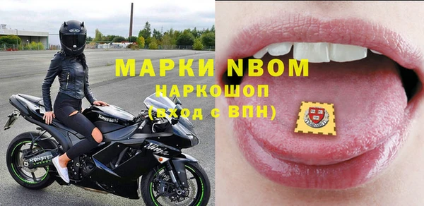 гидра Алексин