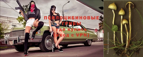 мдпв Россошь