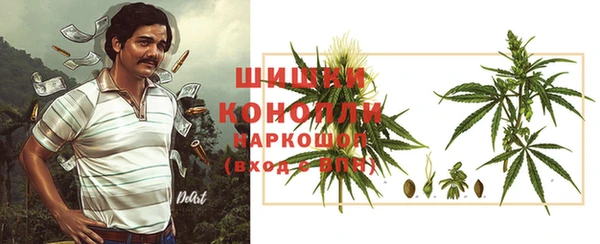 гидра Алексин