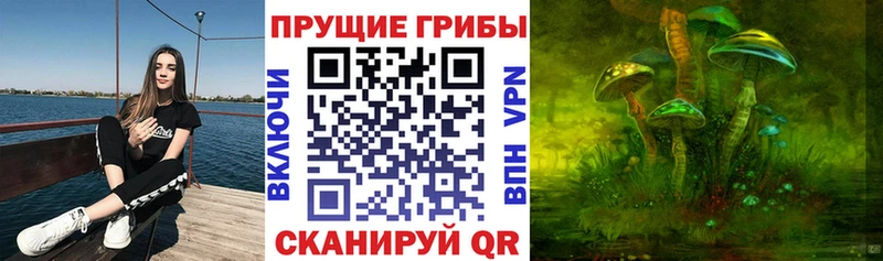 Псилоцибиновые грибы мицелий  где можно купить   Нерехта 